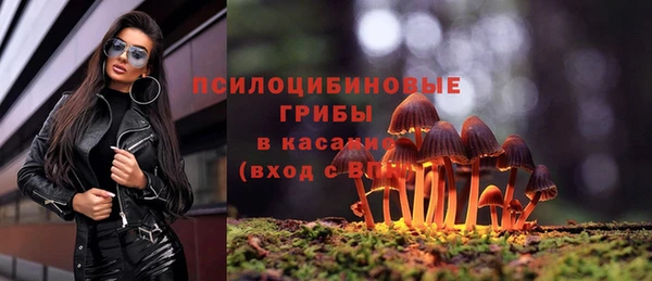 соль ск Балахна